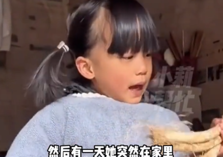 文章配图 1